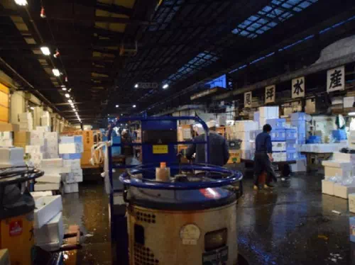 Tokyo Private Tour to Tsukiji Fish Market, Asakusa & Meiji Shrine