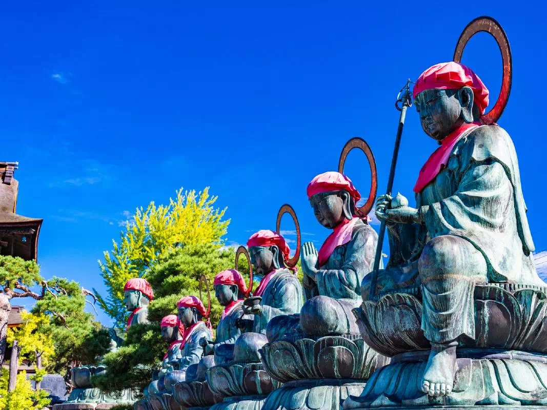 Jigokudani Monkey Park 1-Day Private Tour from Tokyo with Zenkoji Temple Visit