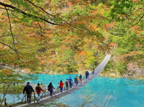 Sumatakyo Gorge & Gotemba Outlet Shopping Private Charter from Tokyo