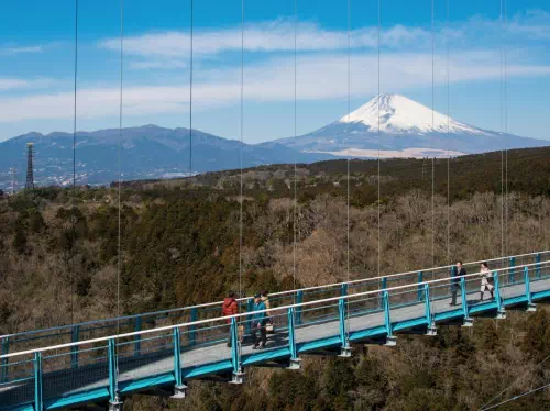Hakone & Mishima Sky Walk Accessible Tour with Transfers from Tokyo 