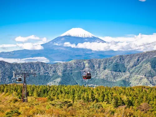 Hakone & Mishima Sky Walk Accessible Tour with Transfers from Tokyo 
