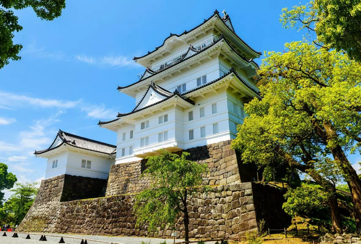 Mt. Fuji Tour with Lake Ashi Cruise and Odawara Castle Park Visit from Tokyo