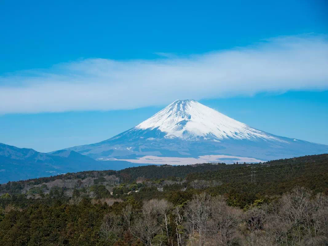 Mt. Fuji Tour with Lake Ashi Cruise and Odawara Castle Park Visit from Tokyo