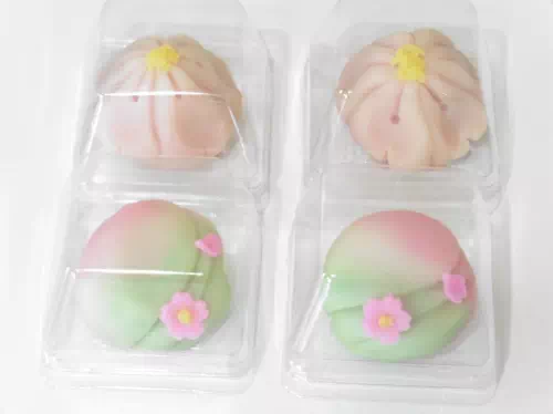 Japanese Wagashi Sweets Making with Matcha Green Tea in Tokyo