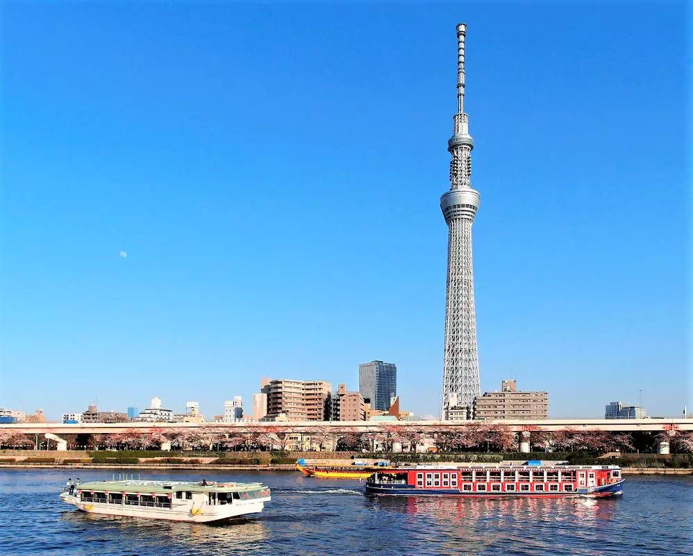 Tokyo Afternoon Bus Tour to Tokyo Tower and Asakusa with Sumida River Cruise