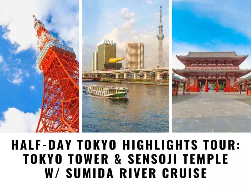 Tokyo Afternoon Bus Tour to Tokyo Tower and Asakusa with Sumida River Cruise