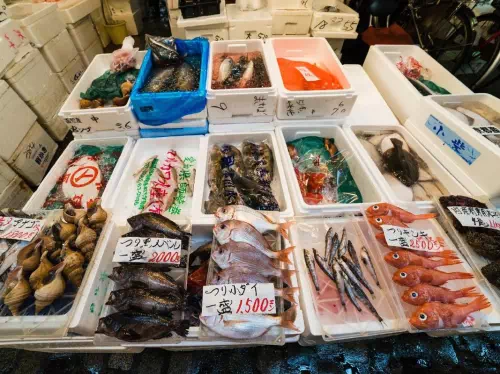Tsukiji Fish Market Tour and Sushi Making Lesson in Tokyo