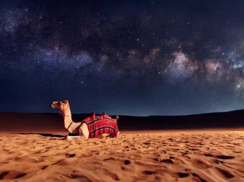 Private Dubai Desert Dinner with Desert Safari and Camel Ride