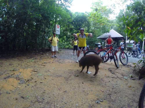 Pulau Ubin Island Guided Cycling Adventure from Singapore