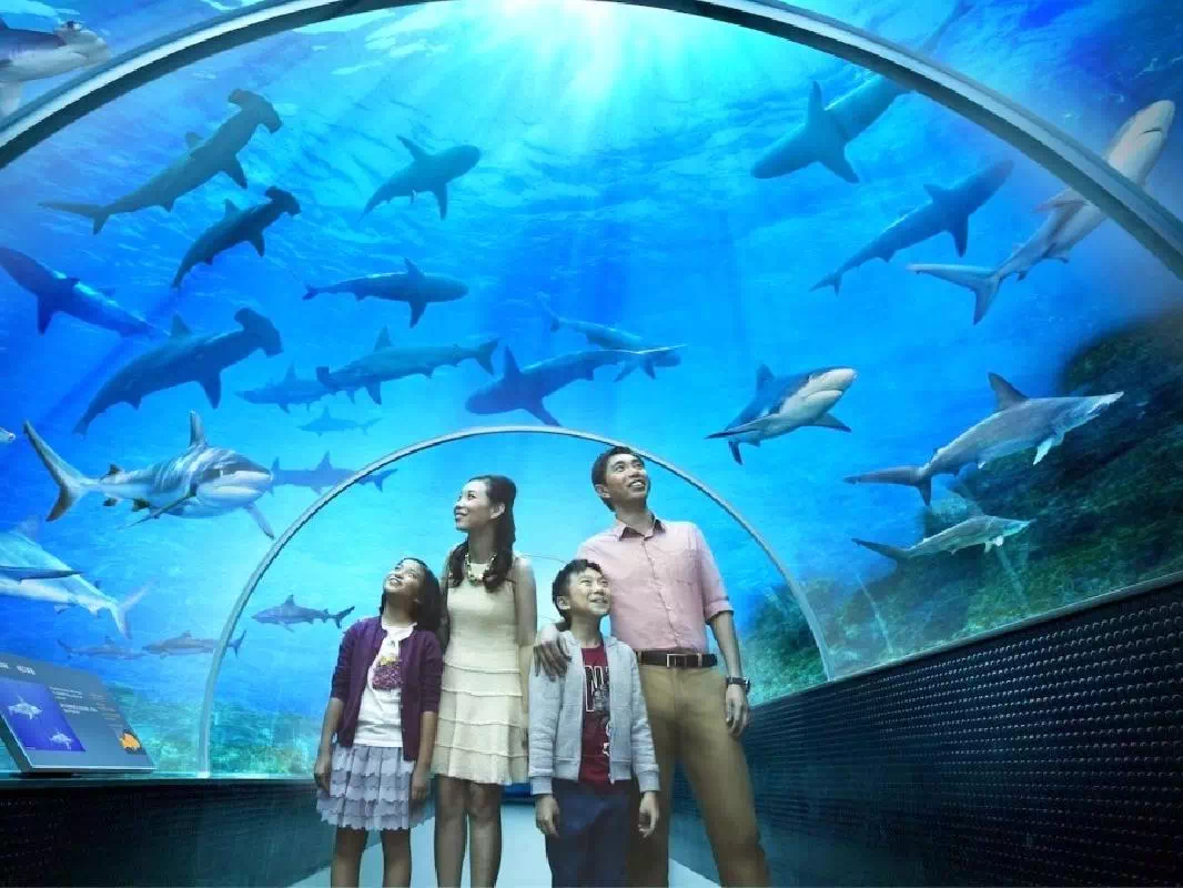 Singapore Ultimate Attractions Pass for 2, 3 or 5 days