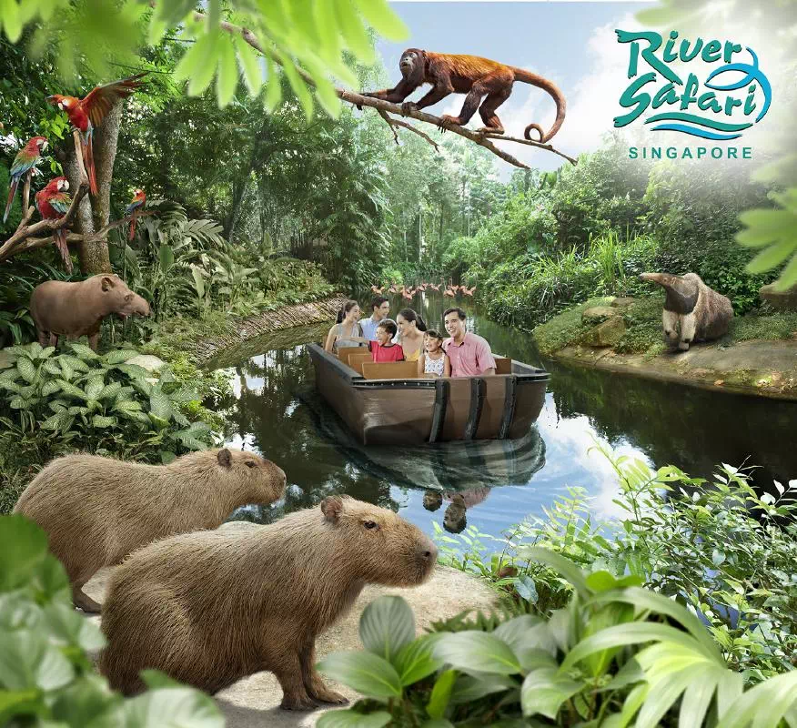 Full Day Singapore Zoo Admission and Wildlife River Safari with Hotel Pick-up