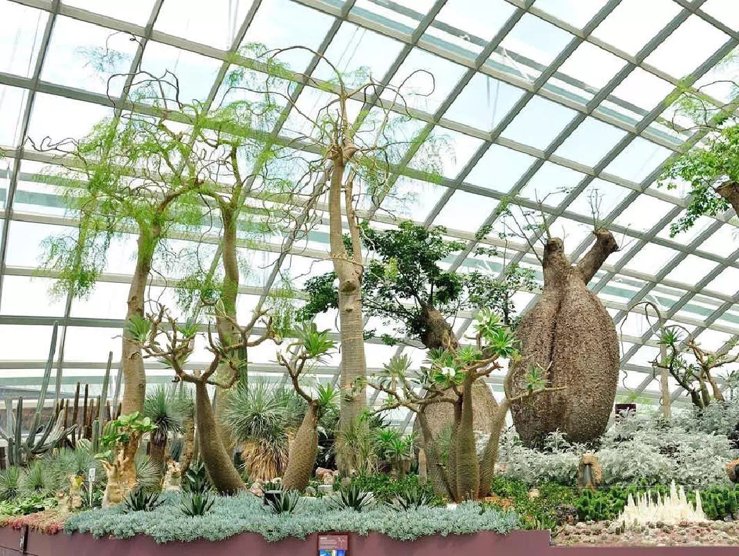 Singapore Gardens by the Bay and Sands SkyPark Ticket with Hop On Hop Off Tour