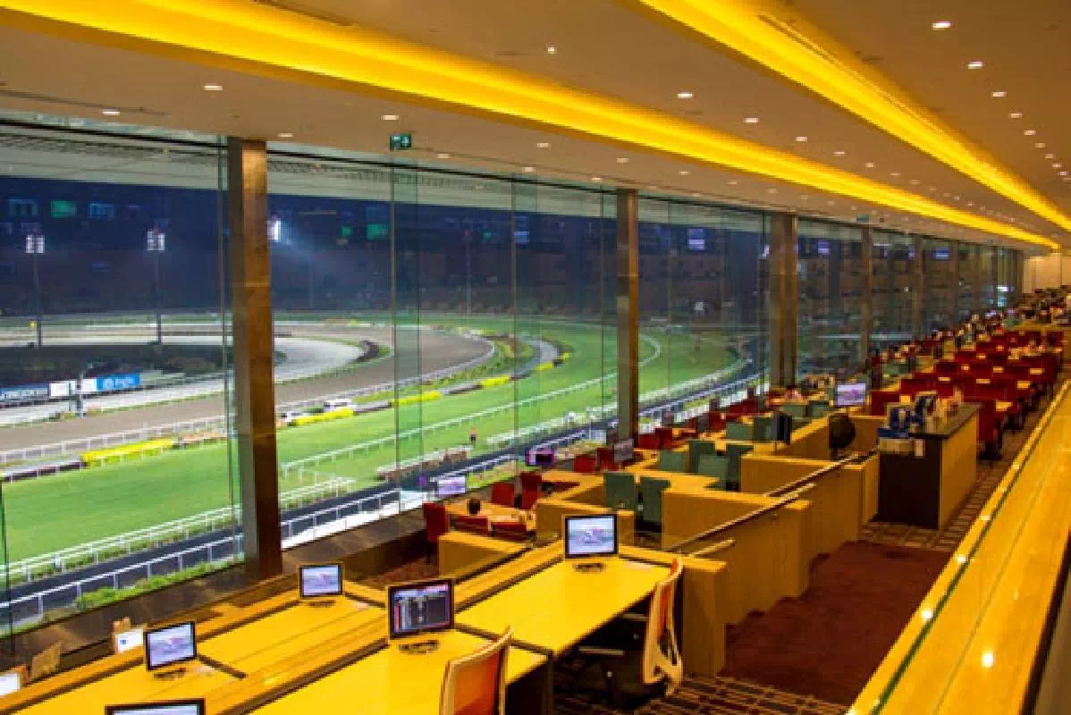 Singapore Horse Race Viewing Experience with VIP Lounge Access & Hotel Transfers