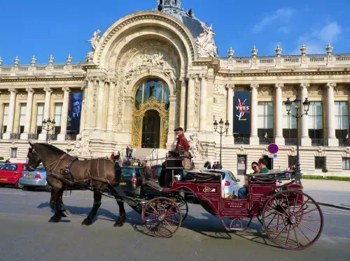 Horse Drawn Carriage Ride in Paris