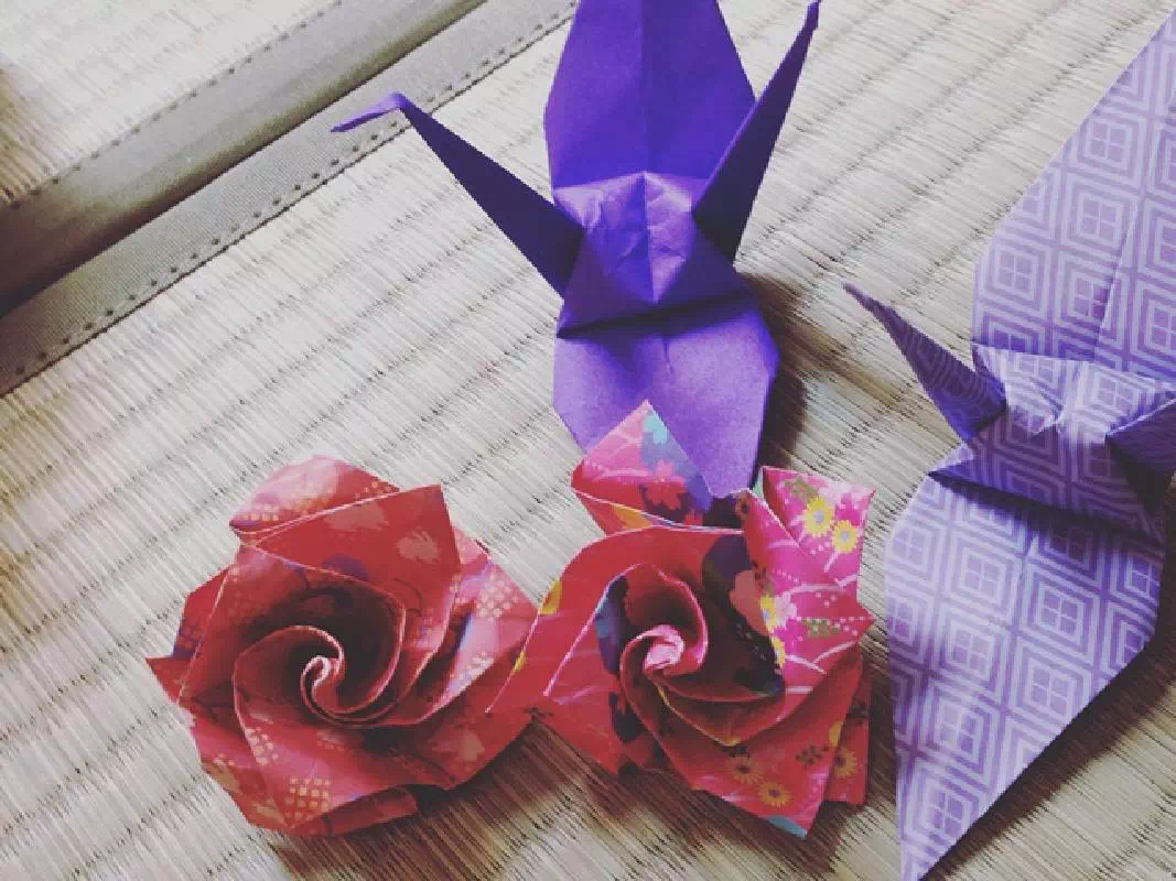 Origami Paper Folding Class in Traditional Asakusa