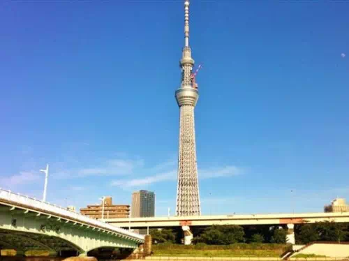 Traditional Yakatabune River Cruise with Lunch or Dinner in Tokyo