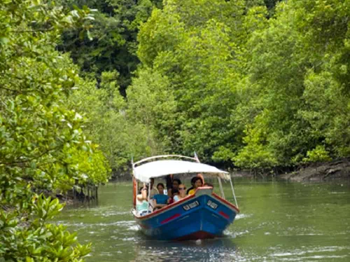 Langkawi Mangrove Forest and Eagle Watching Half Day Tour