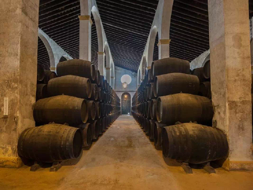 Jerez and Cadiz Wine Tasting and Horse Show Full Day Excursion from Seville 
