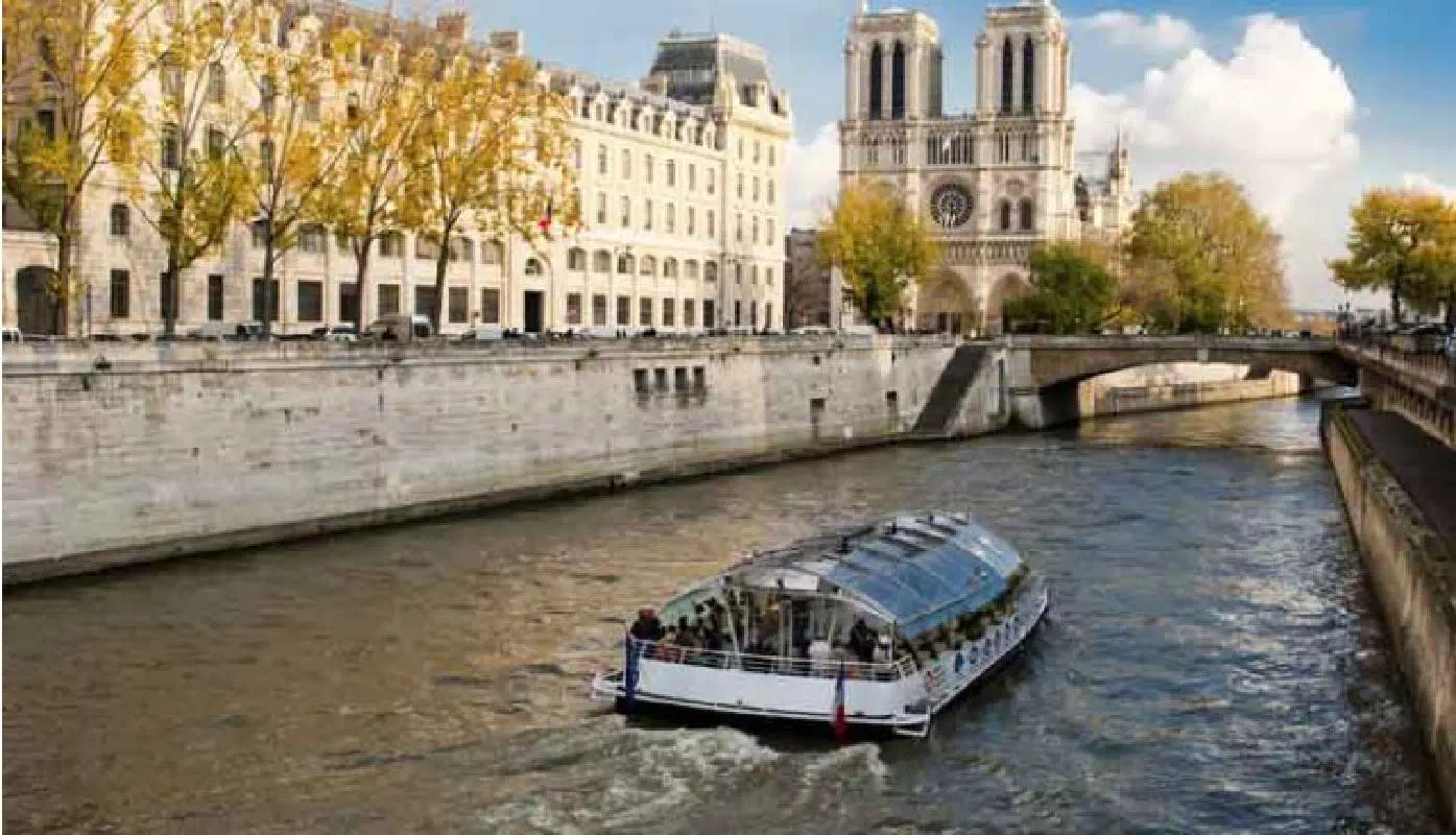 Skip the Line Louvre Museum, Eiffel Tower Lunch, and Optional Notre Dame Visit