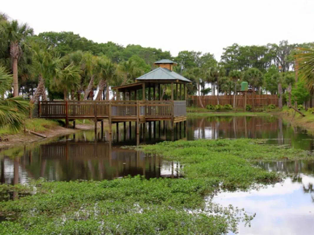 Everglades Airboat Ride, Alligator Show & Wild Florida Admission