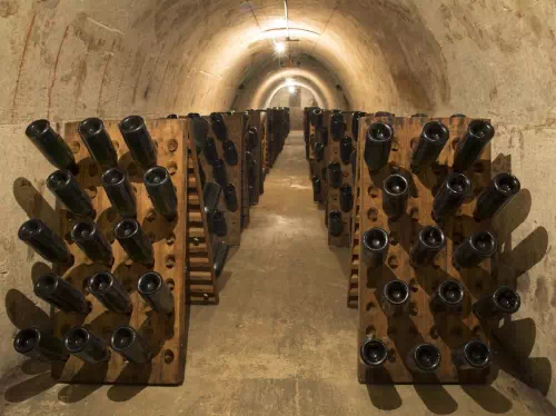 Reims Champagne Tour from Paris with Cellar Visits and Tastings