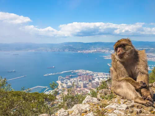 Gibraltar Day Trip from Seville