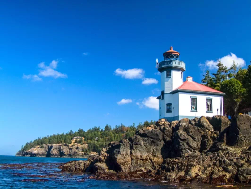San Juan Island Full Day Tour & Kayak from Seattle with Lunch and Wine