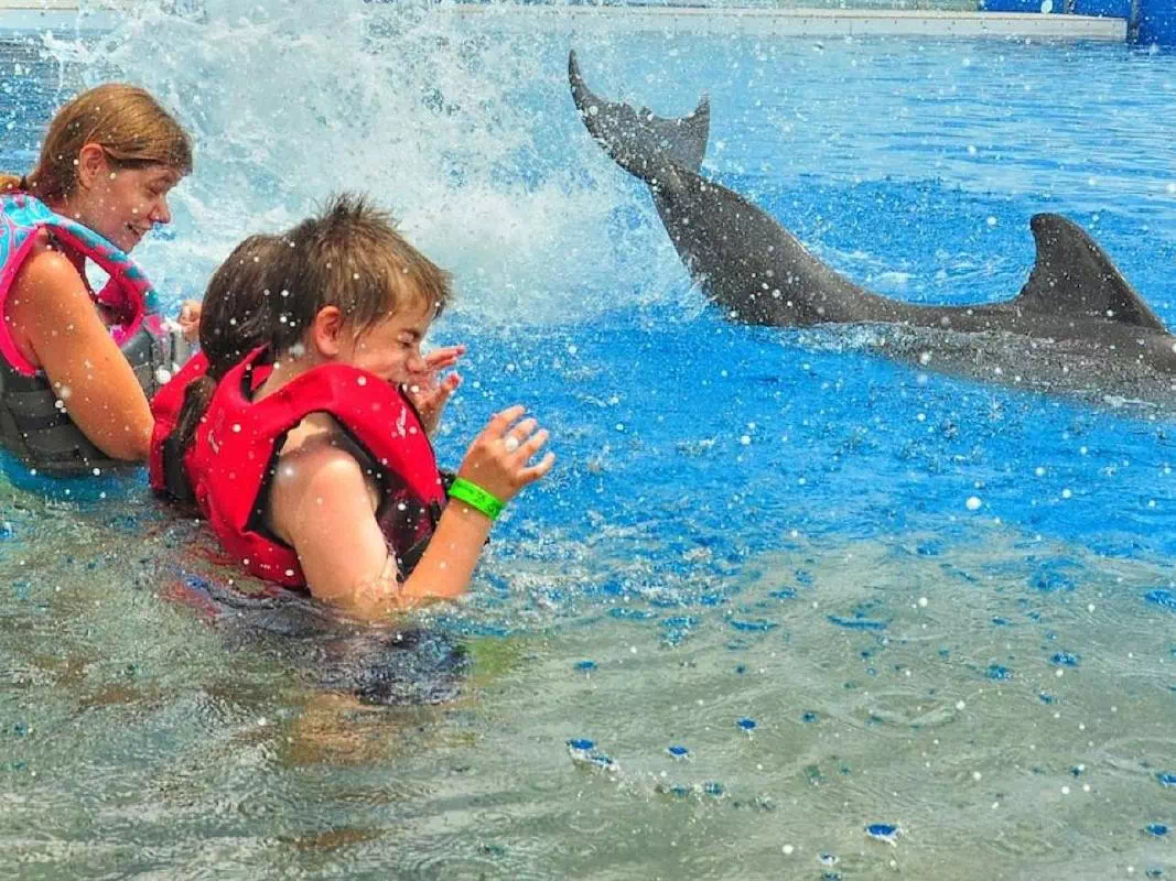 Marineland Dolphin Interactive Adventure & St. Augustine Sightseeing Tour