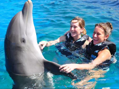 Marineland Dolphin Interactive Adventure & St. Augustine Sightseeing Tour
