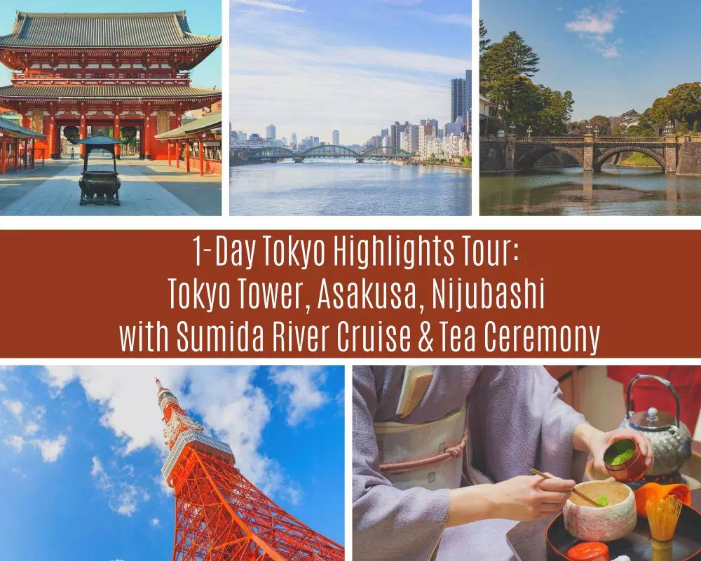 Tokyo 1-Day Bus Tour to Tokyo Tower & Asakusa with Tea Ceremony & Sumida Cruise