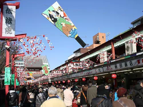Tokyo 1-Day Bus Tour to Tokyo Tower & Asakusa with Tea Ceremony & Sumida Cruise
