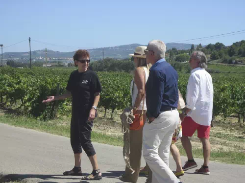 Barcelona Wine Tour and Human Towers Small Group Local Experience