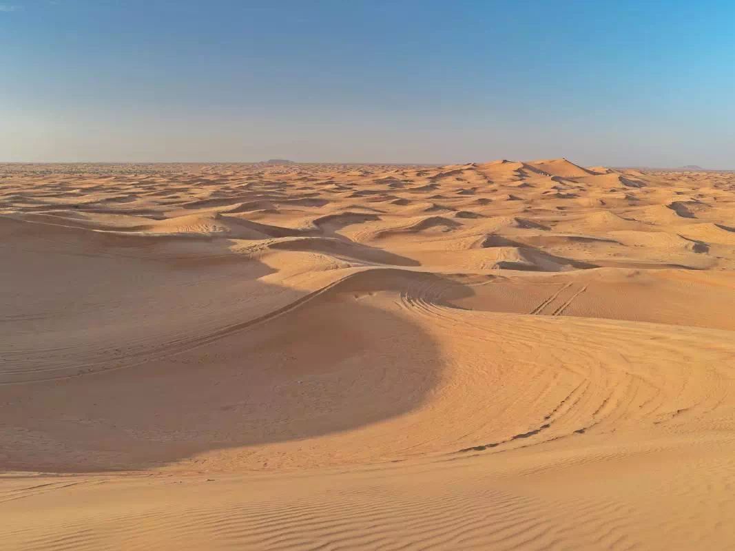 Morning Arabian Desert Dune Drive and Camel Ride Experience from Dubai
