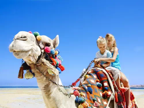Morning Arabian Desert Dune Drive and Camel Ride Experience from Dubai