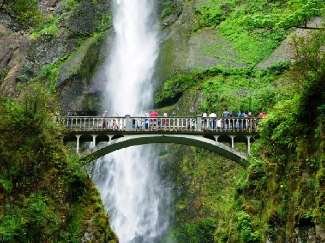 Multnomah Falls and Columbia River Gorge Full Day Guided Tour from Portland