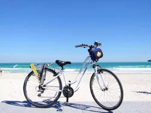 Miami Comfort Bike Day Rental