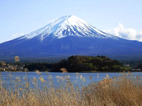 Mt. Fuji Tour from Shinjuku with Shiraito Falls, Oshino Hakkai & Sengen Shrine
