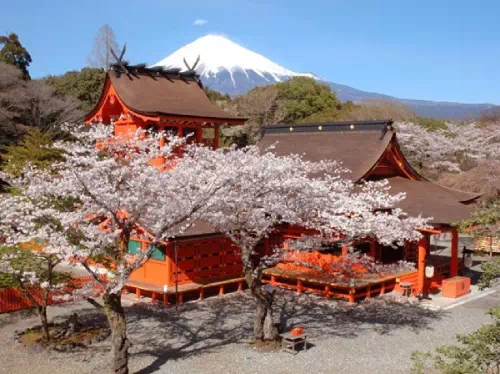 Mt. Fuji Tour from Shinjuku with Shiraito Falls, Oshino Hakkai & Sengen Shrine
