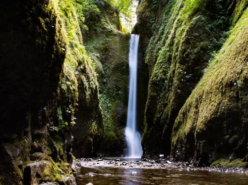 Columbia Gorge Waterfalls and Winery Sightseeing Tour