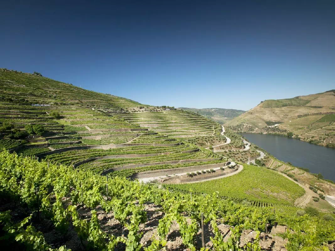 Douro Valley One Day Tour from Porto with Wine Tasting