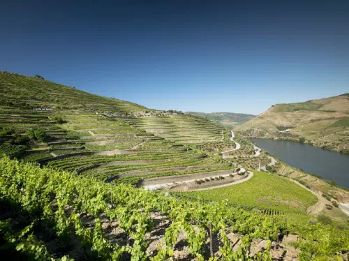 Douro Valley One Day Tour from Porto with Wine Tasting at Quinta do Seixo