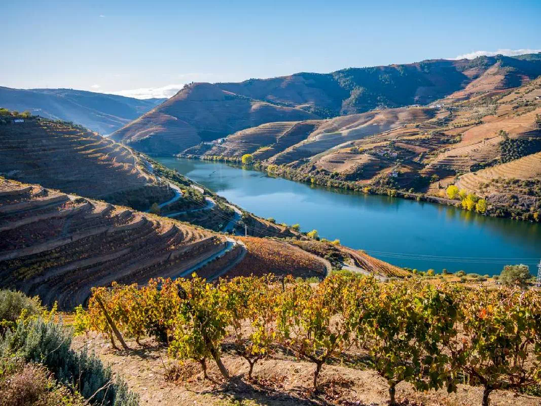 Douro Valley Wine Tour from Porto with Wine Tastings and Lunch