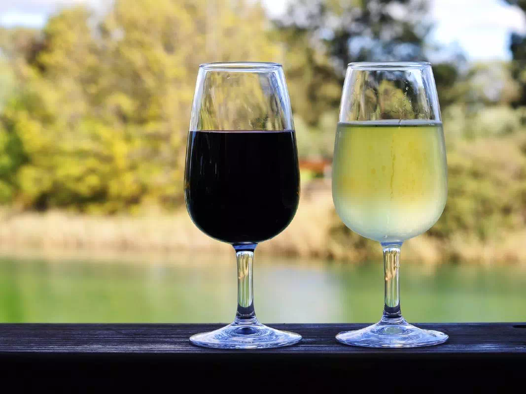 Kumeu Wine Tasting Tour from Auckland with Mediterranean-Style Lunch