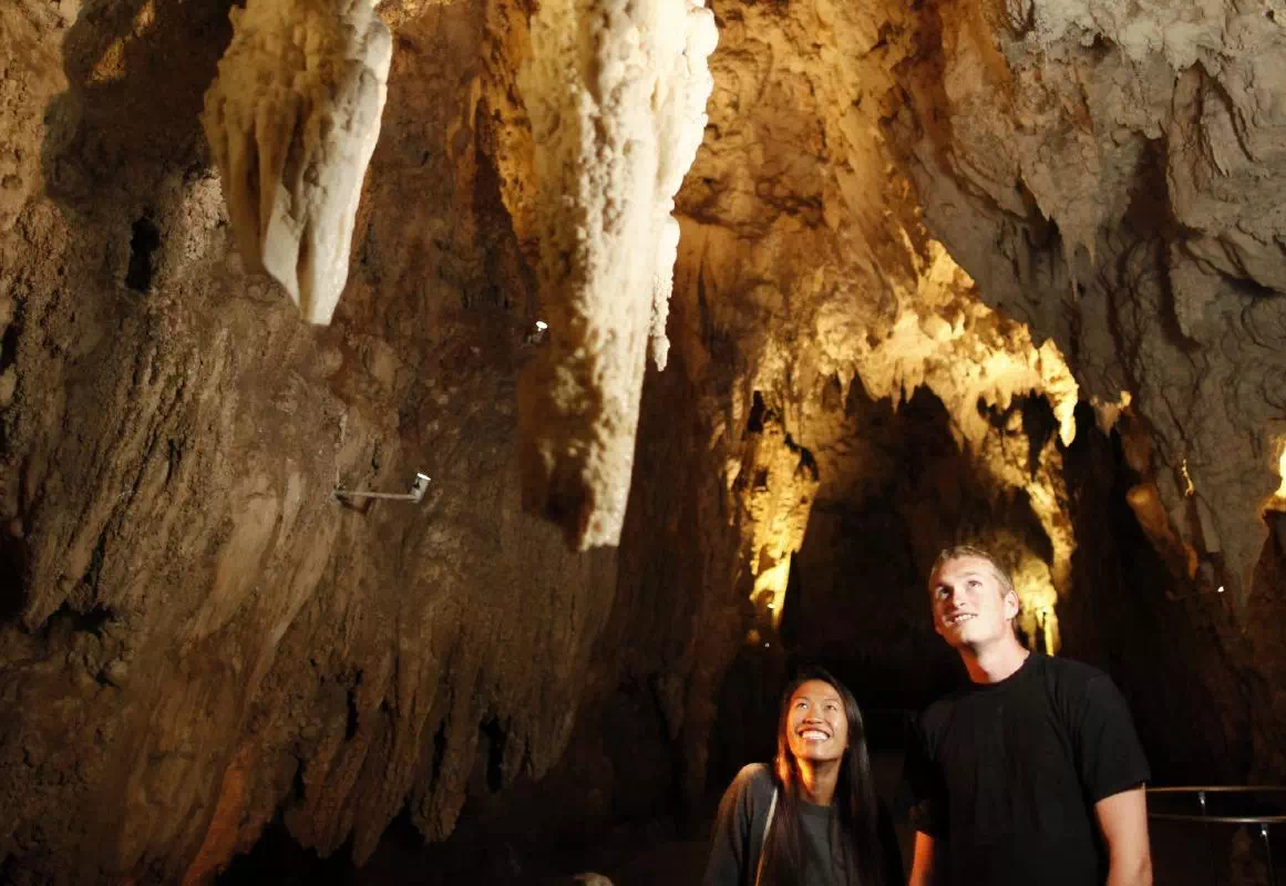 Morning Waitomo Glowworm Cave Tour from Rotorua to Auckland