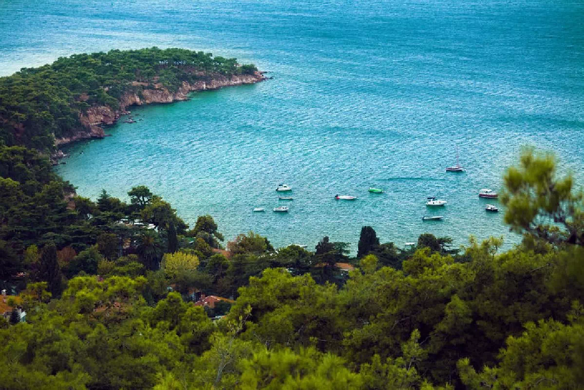 Princes' Islands Full Day Tour from Istanbul