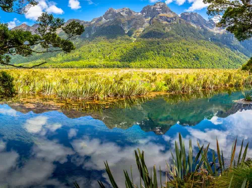 Fiordland National Park Tour and Milford Sound Cruise from Queenstown