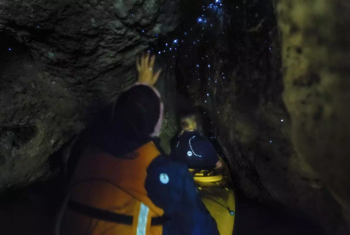 Evening Kayaking Tour of Tauranga Glowworm Caves with Lake McLaren Visit