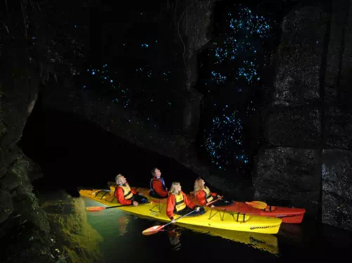 Evening Kayaking Tour of Tauranga Glowworm Caves with Lake McLaren Visit