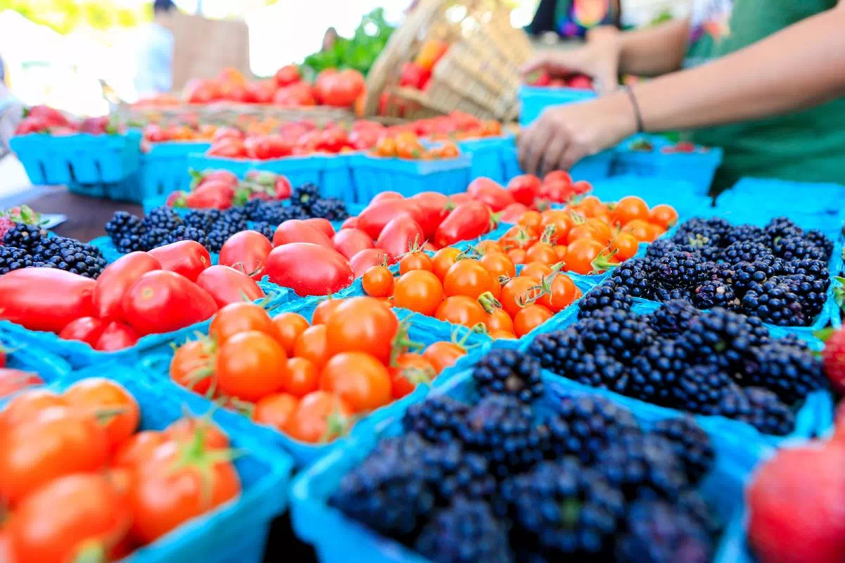 Los Angeles' Original Farmers Market Guided Food & History Tour