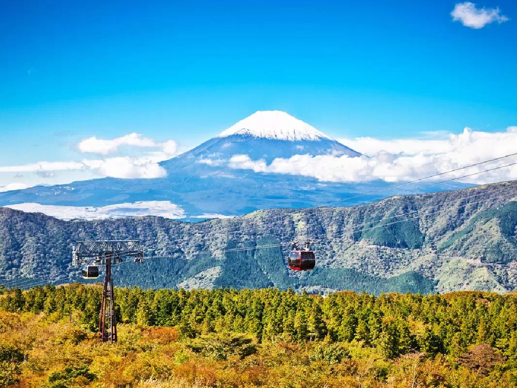 Mt. Fuji and Hakone Sightseeing Tour with Gotemba Outlet Shopping from Tokyo